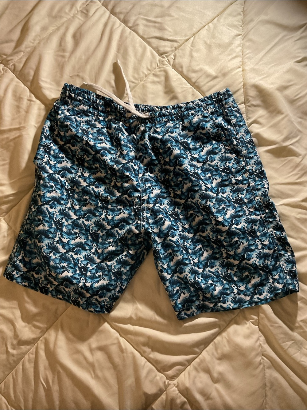 Men's Blue Wave-Print Swim Trunks